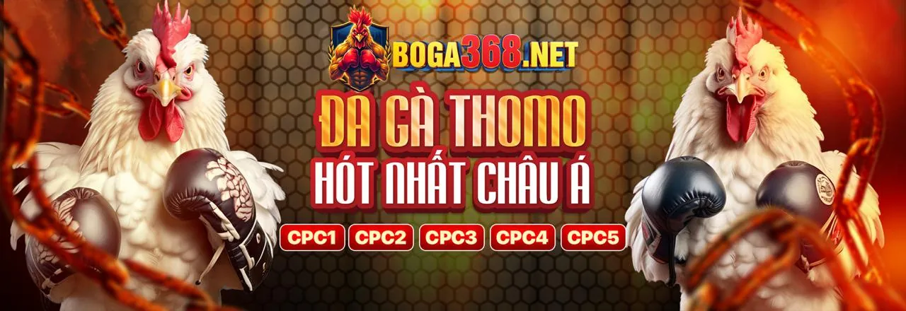 Phân tích Tỷ lệ Kèo 168bet win